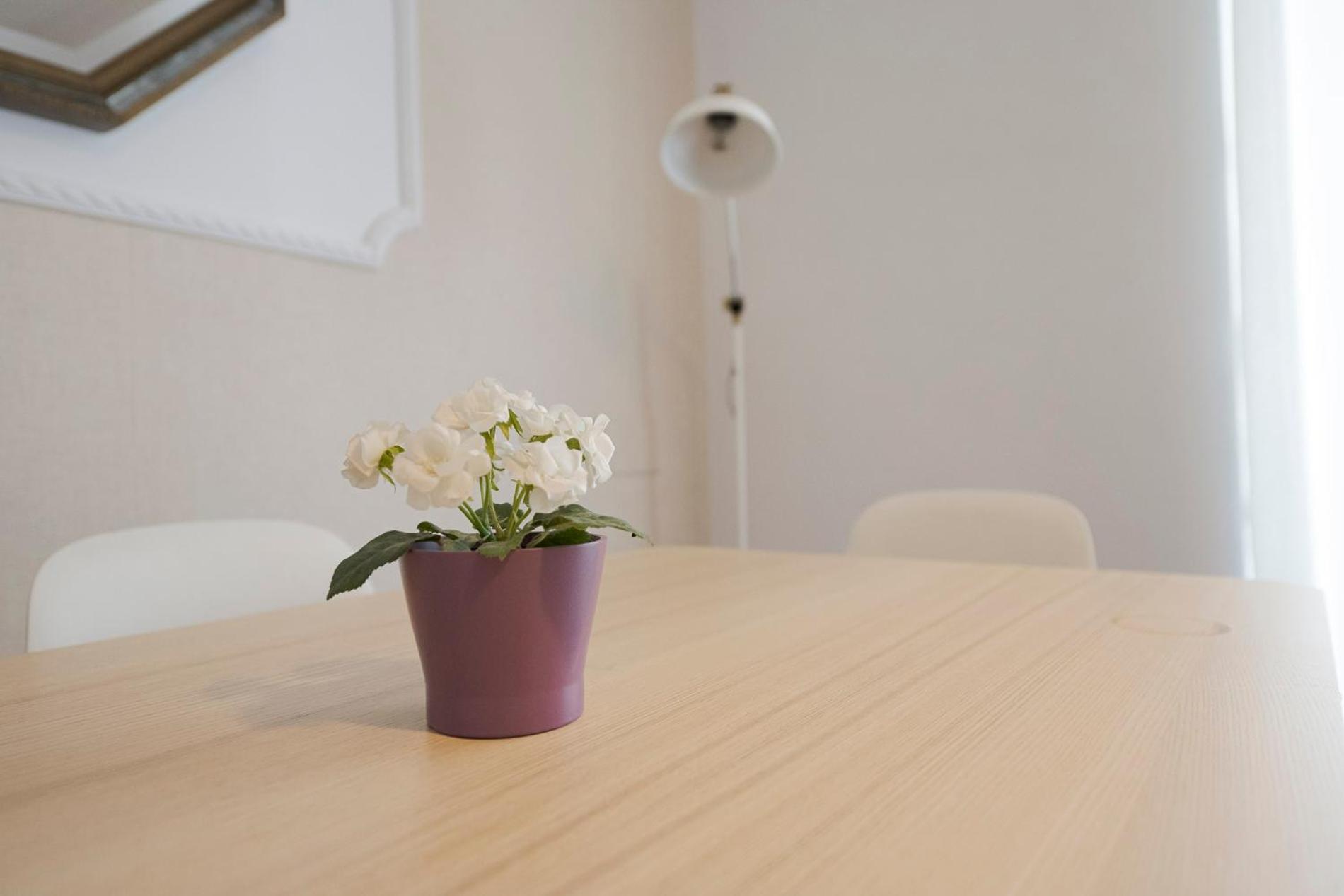 Apartamento Victoria En El Centro De San Sebastián Kültér fotó